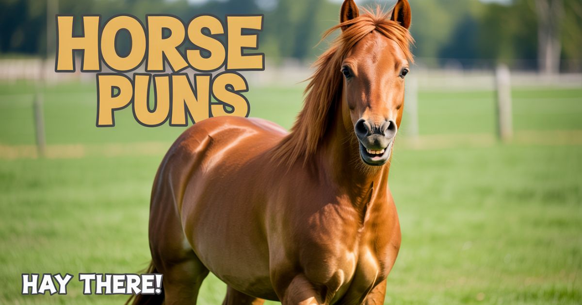 Horse Puns