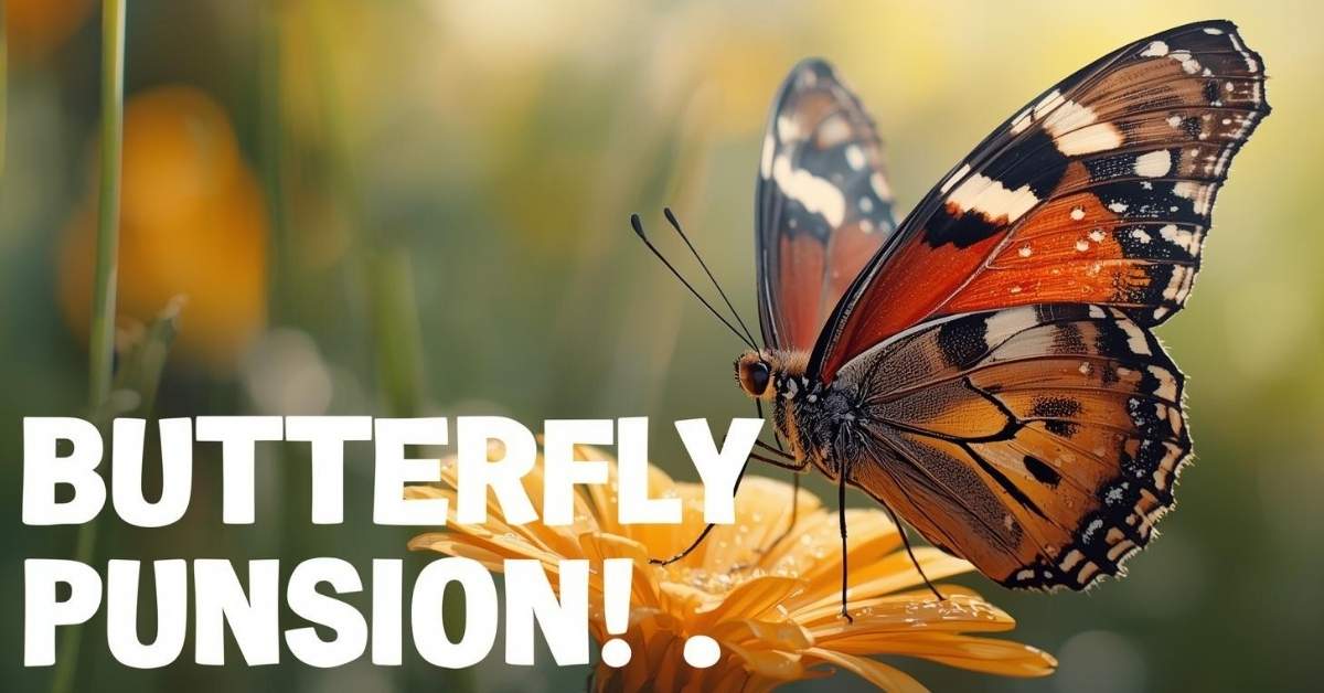 Butterfly Puns